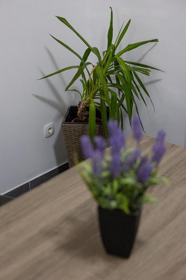 Apartman Toni Split Kültér fotó